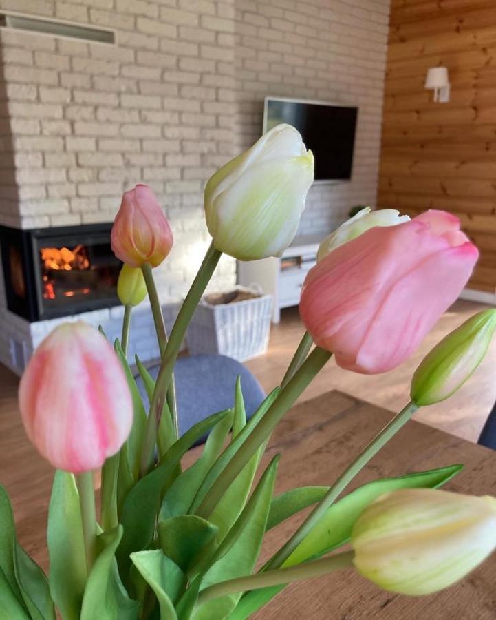 Domek Nalesie Dudowizna Luaran gambar